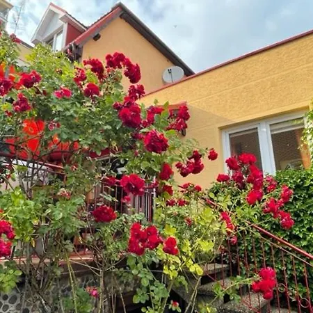 Carmen Dzielnica Uzdrowiskowa 400 M Od Mola Séjour chez l'habitant *