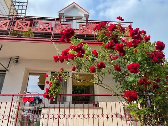 Homestay Carmen Dzielnica Uzdrowiskowa 400 M Od Mola