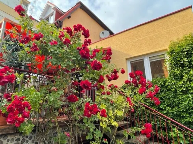 Carmen Dzielnica Uzdrowiskowa 400 M Od Mola Homestay *