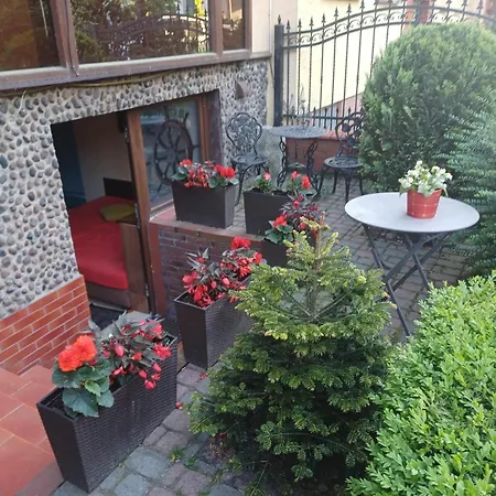 Carmen Dzielnica Uzdrowiskowa 400 M Od Mola Habitación en casa particular